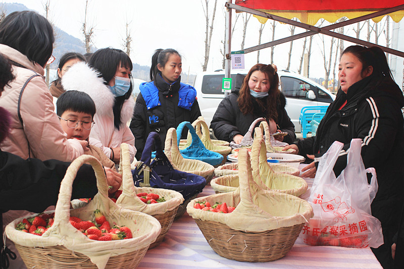 ��ݮ�h��c�´� | ���f�(zh��n)��ɽ�ڲ�ݮ��ժ��Ȥ���������w�(y��n)�e����ζ