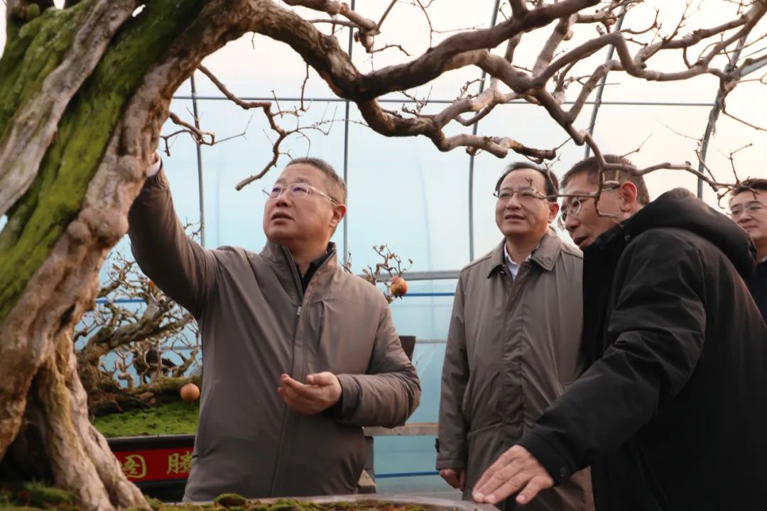 ���f��ί����ӛ������ί��ӛ�����ށ�F�ǅ^(q��)�{(di��o)��ʯ��a(ch��n)�I(y��)�l(f��)չ����